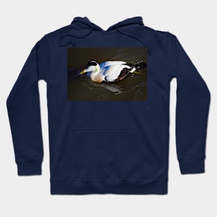 Eider Duck Hoodie